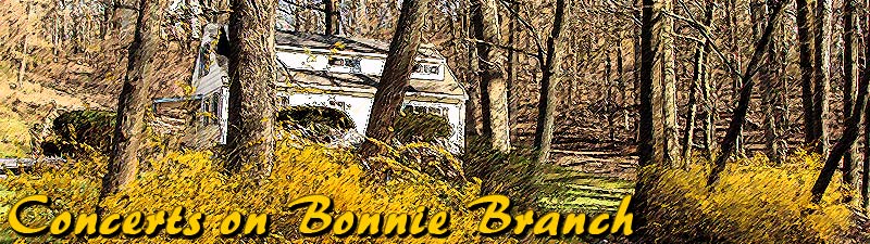 Bonnie Branch in the winter